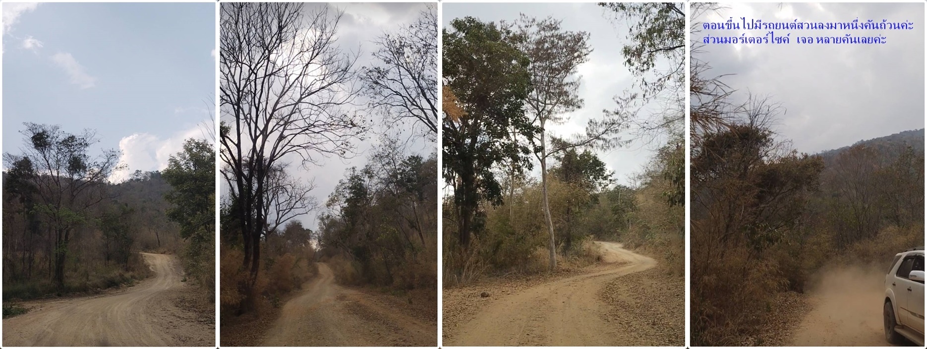 [CR] จุดชมวิว "ห้วยคอกหมู" วิวสวย บรรยากาศดีและอากาศเย็นสบาย